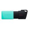 PEN DRIVE KINGSTON256GB 1 1000x1000 1 100x100