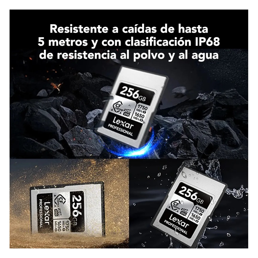 lexar ajustada 1 lexar ajustada 1
