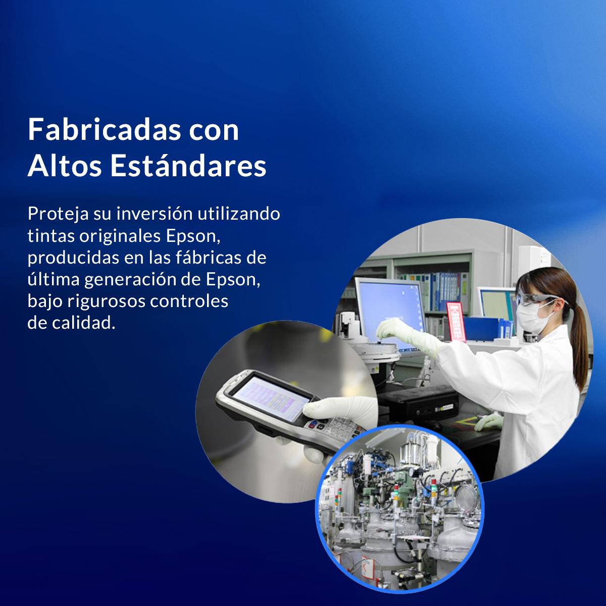 t524420 al 6 t524420 al 6